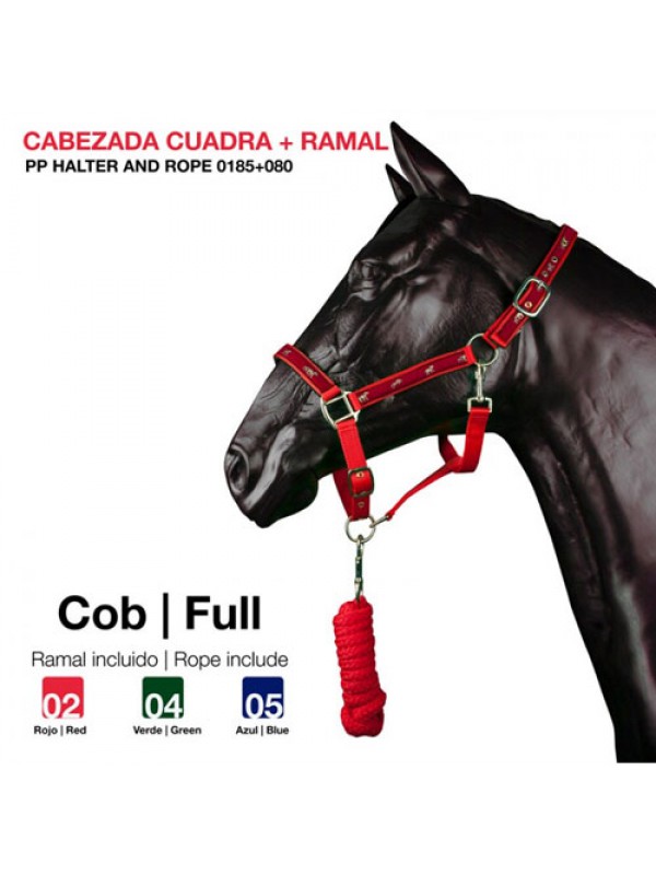 Cabezada cuadra Castecus Horse & Foal